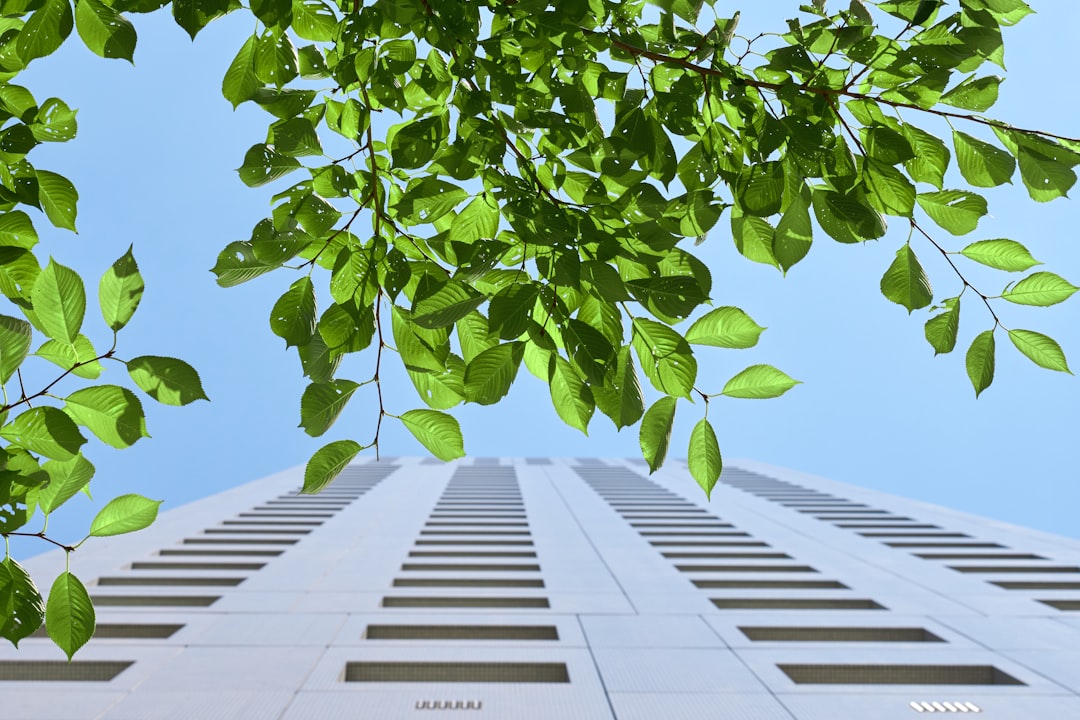 Sustainable Solopreneur Growth — Building Long-Term Systems