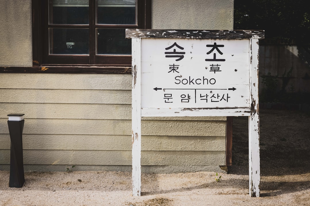 SEO Basics for Solopreneurs: Start with the Foundation